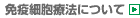 免疫細胞療法について