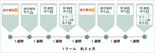 標準的ながん治療(癌治療) 1クール約2ヵ月