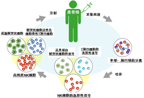 复合免疫细胞疗法